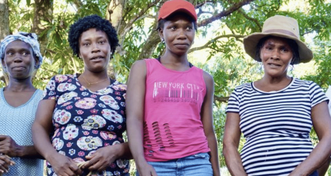 160 Families Begin Their Journey to Escape Extreme Poverty