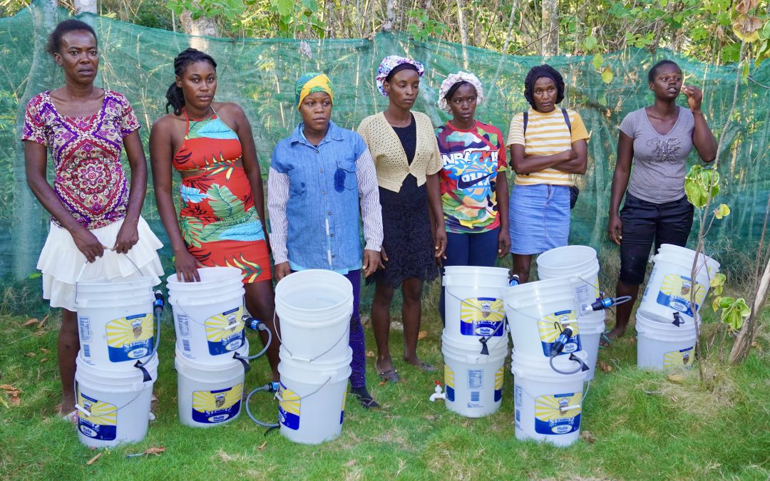 New Peer-Reviewed Study in the Journal of Family Violence