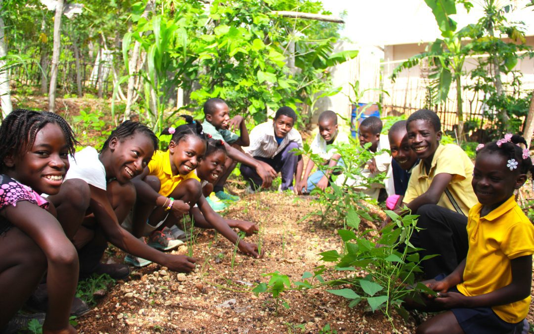 Gardens and Gratitude