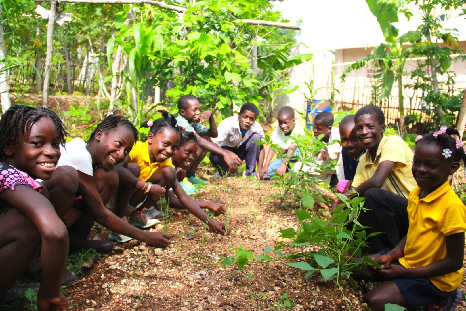 Gardens and Gratitude